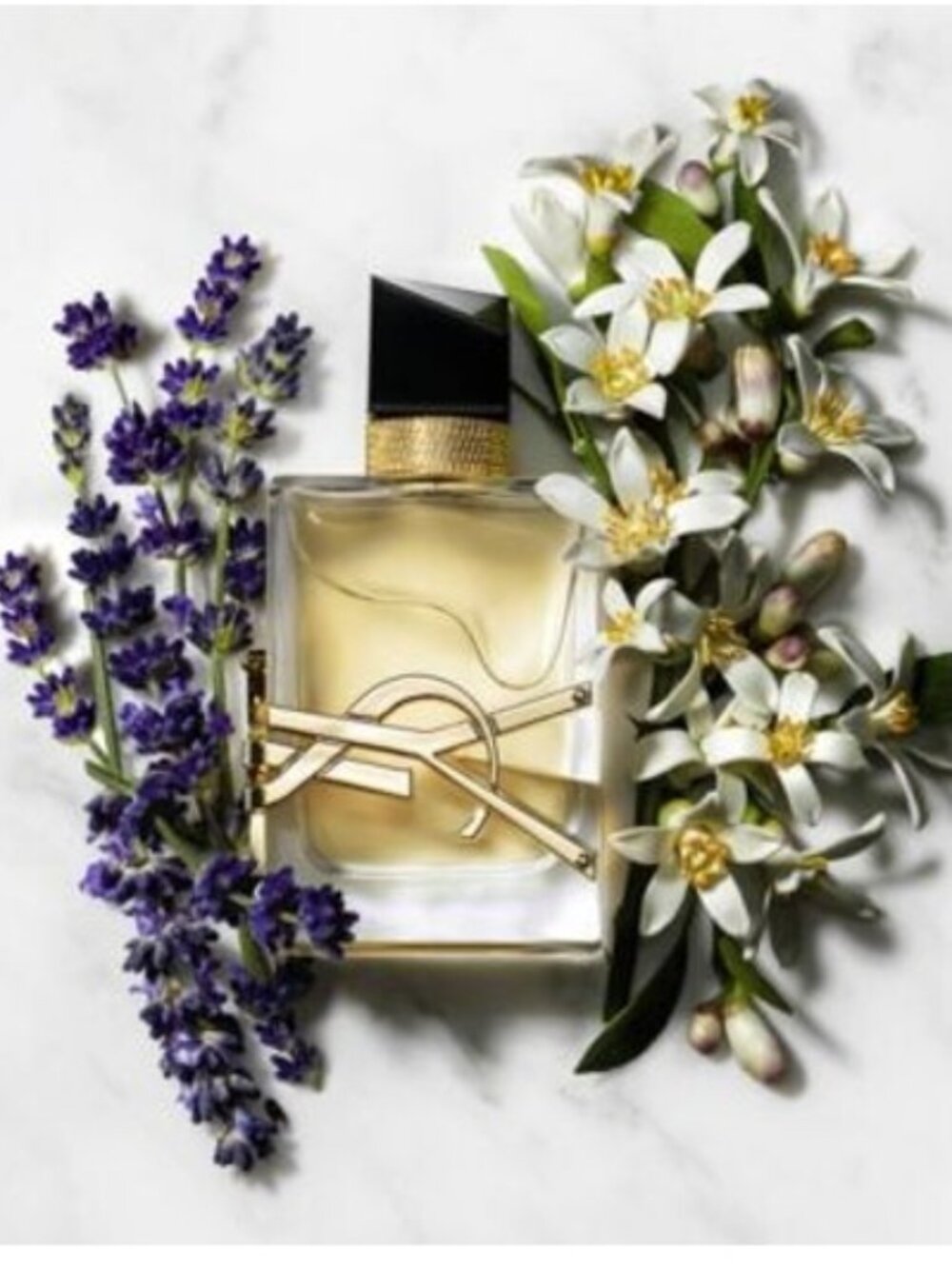 Yves Saint Laurent YSL Libre for Women Eau De Parfum Spray, 3.0 Ounce -BNIB - Picture 4 of 9